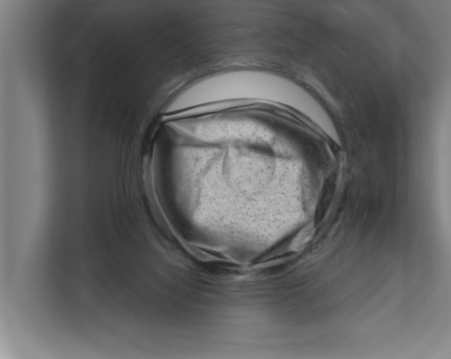 X0000111940068200908171306