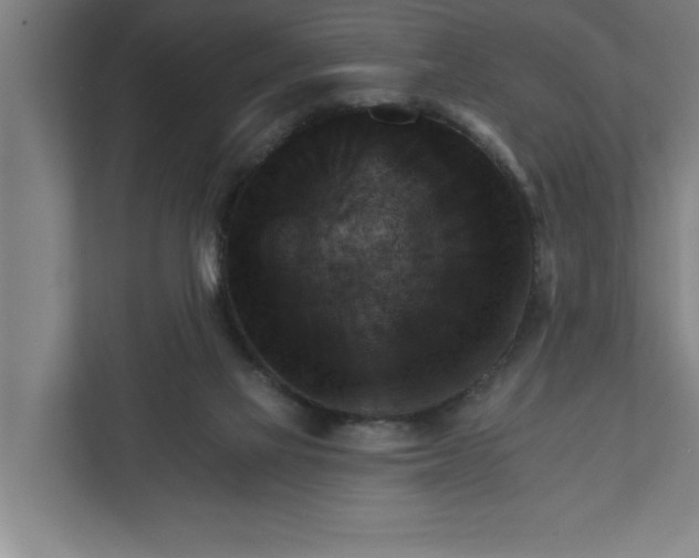 X0000111940069200908171306