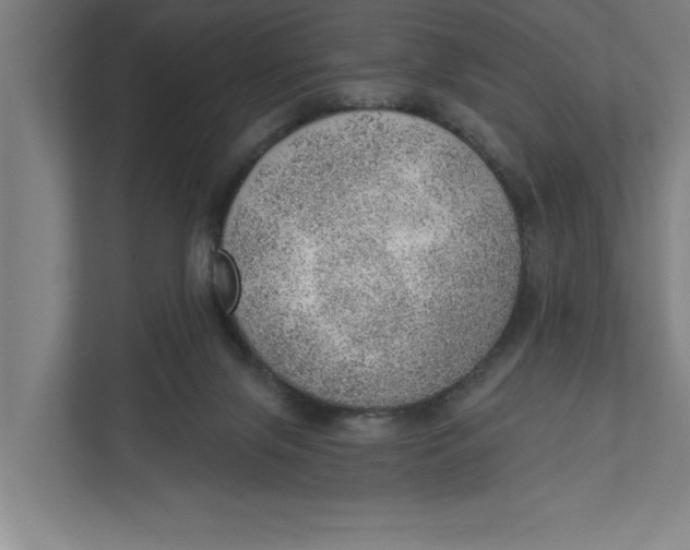 X0000111940071200908171306