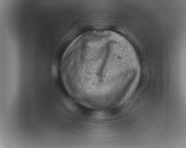 X0000111940074200908171306