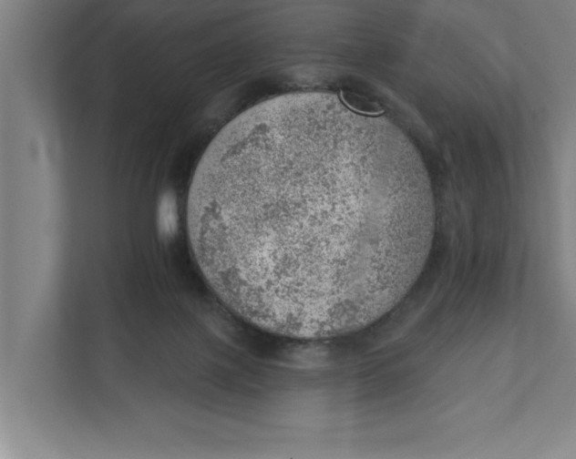 X0000111940075200908171306