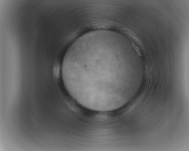 X0000111940076200908171306