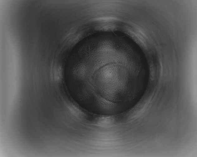 X0000111940077200908171306