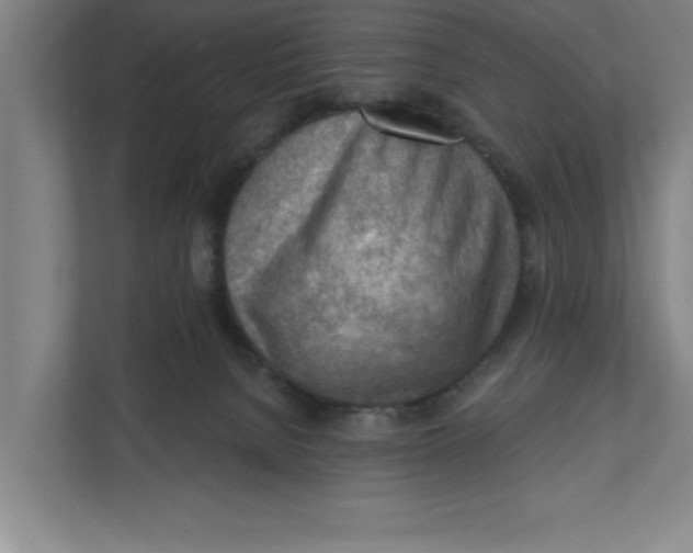 X0000111940080200908171306