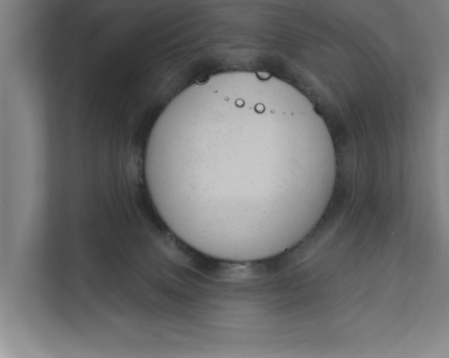 X0000111940083200908171306