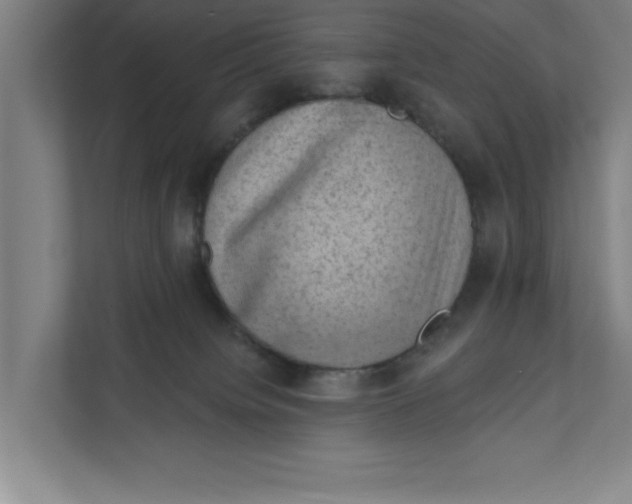 X0000111940084200908171306