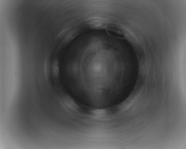 X0000111940085200908171306