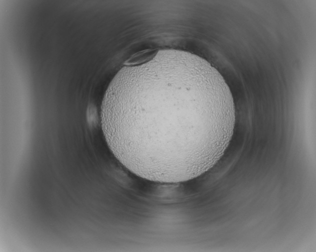 X0000111940089200908171306