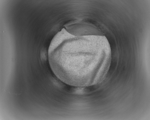 X0000111940090200908171306