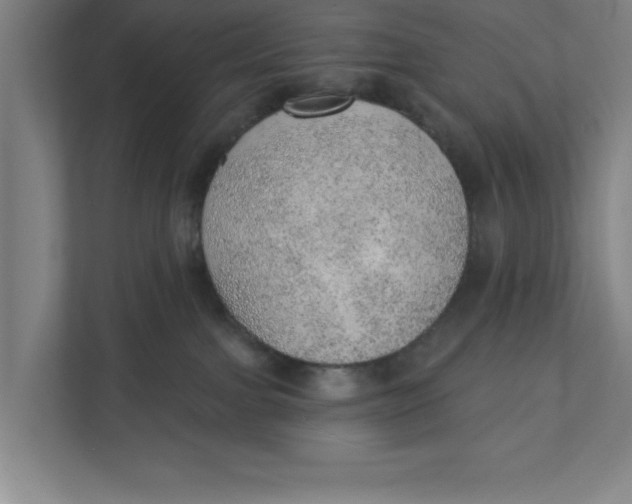 X0000111940091200908171306