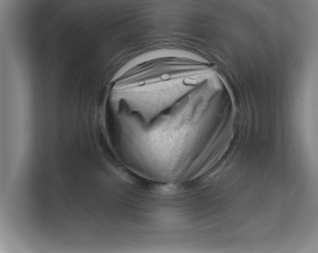 X0000111940092200908171306