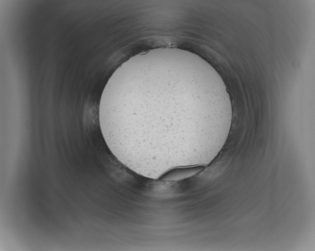 X0000111940096200908171306