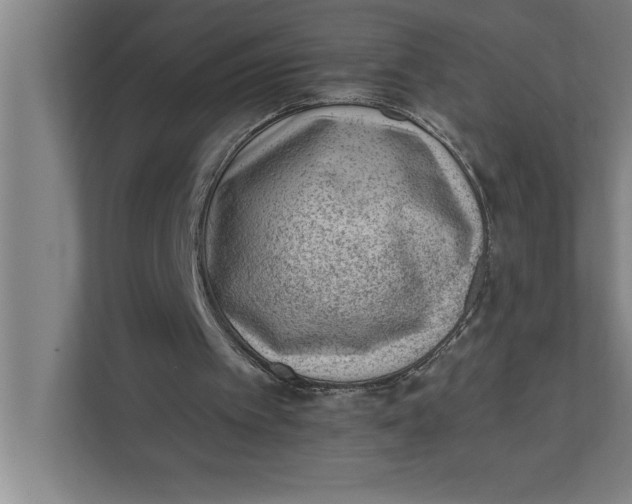 X0000111940097200908171305