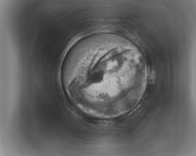 X0000111940099200908171305