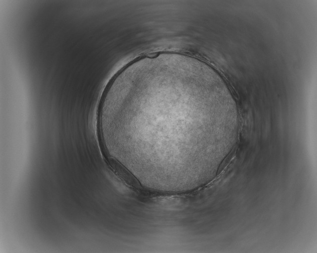 X0000111940100200908171305