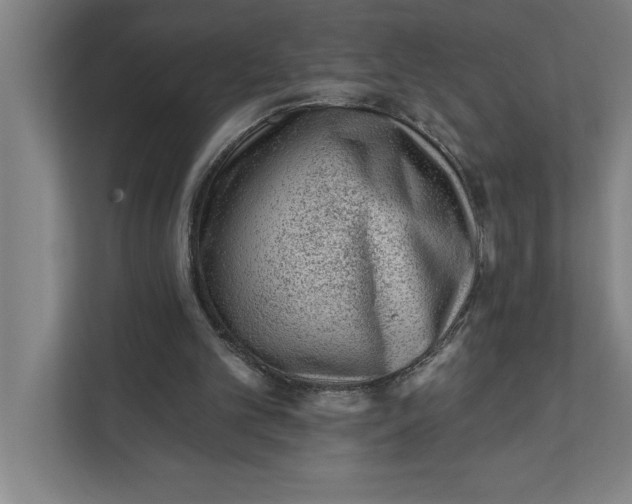 X0000111940101200908171305