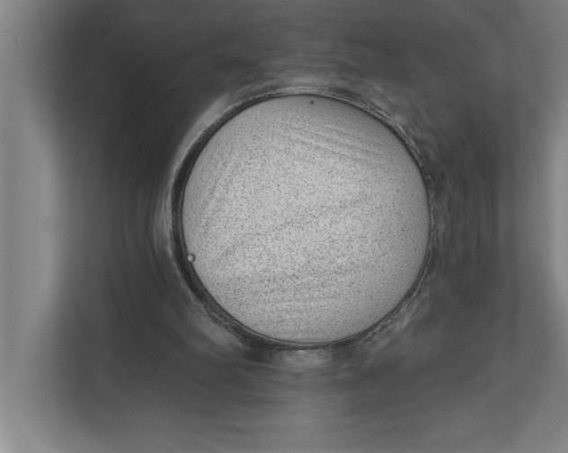 X0000111940102200908171305