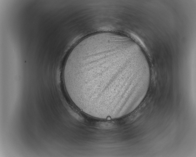 X0000111940106200908171305