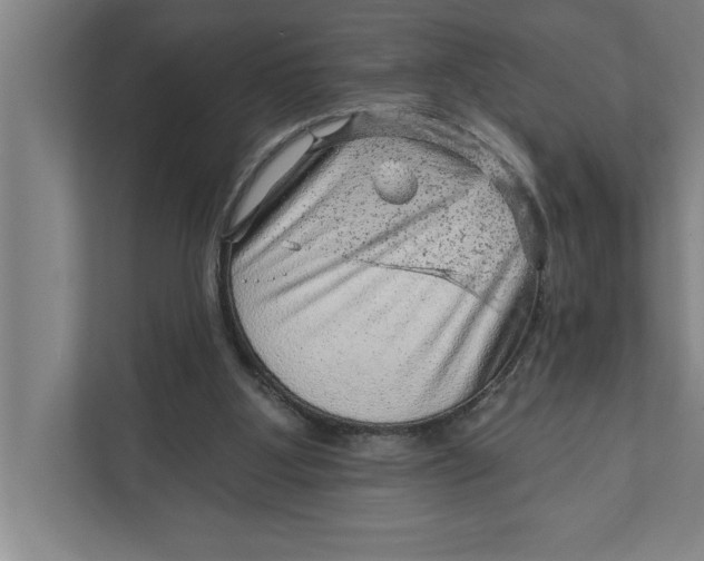 X0000111940107200908171305