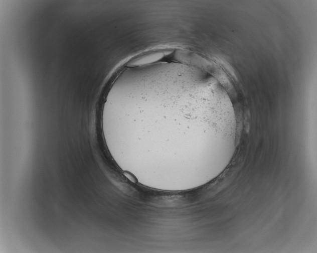 X0000111940108200908171305