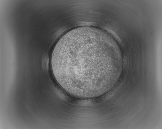 X0000111940110200908171305