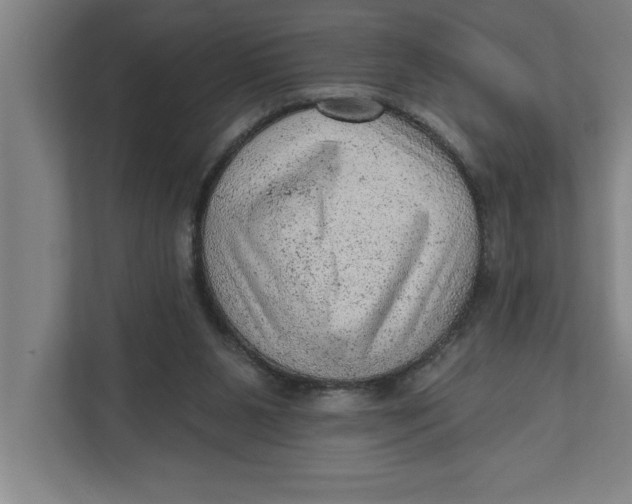 X0000111940111200908171305