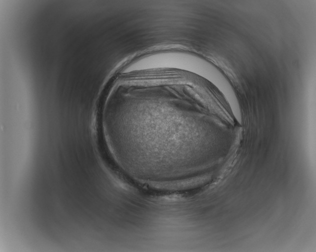 X0000111940112200908171305