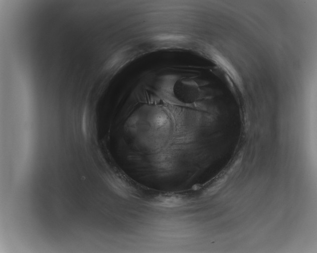 X0000111940113200908171305