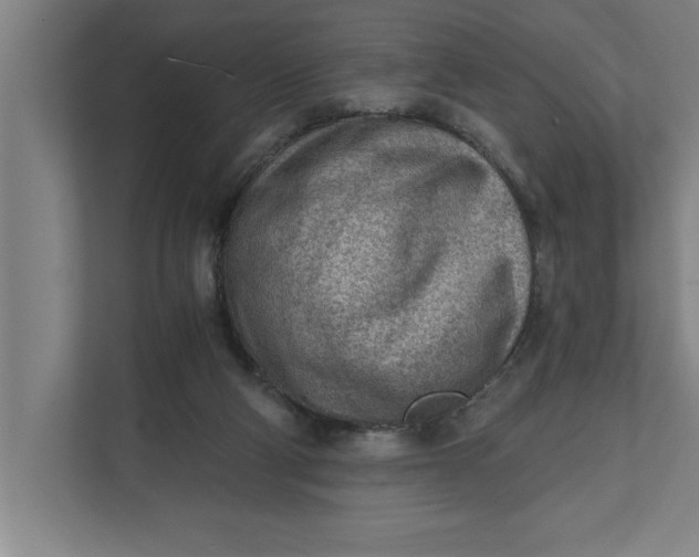 X0000111940114200908171305