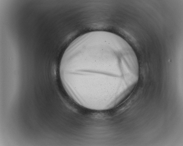 X0000111940115200908171305