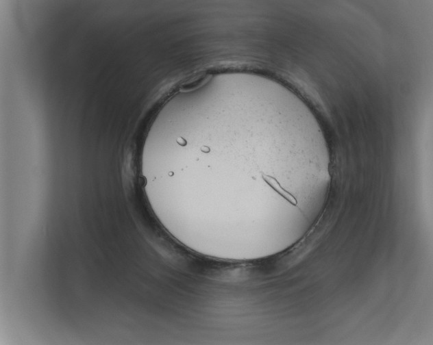 X0000111940116200908171305