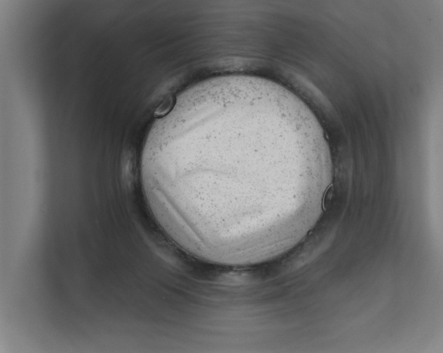 X0000111940119200908171305