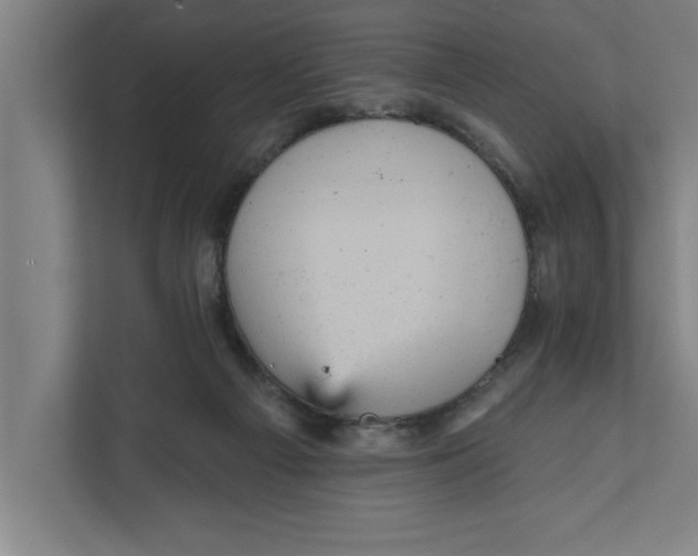 X0000111940121200908171305