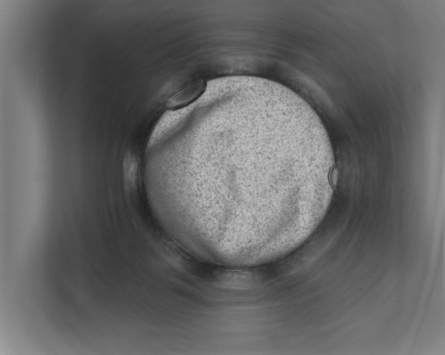 X0000111940123200908171305