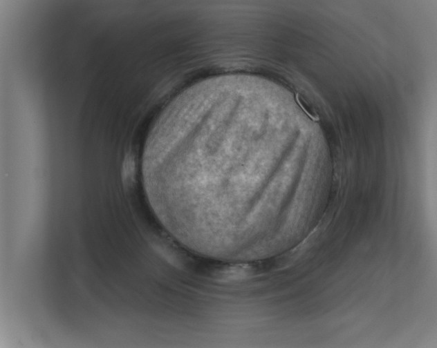 X0000111940124200908171305