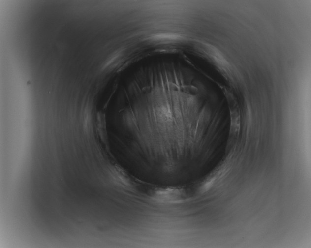 X0000111940125200908171305