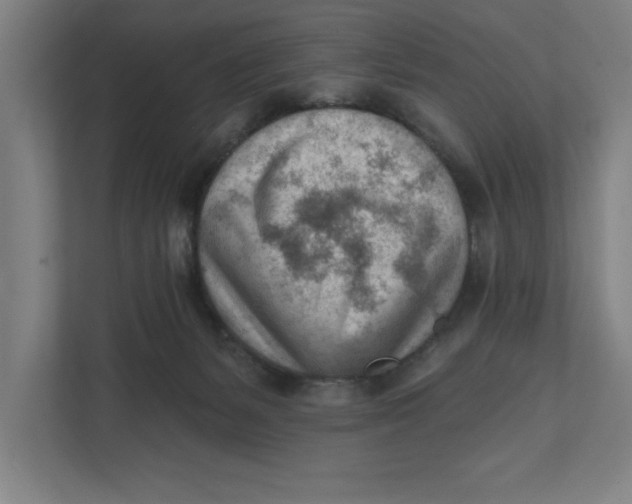 X0000111940127200908171305