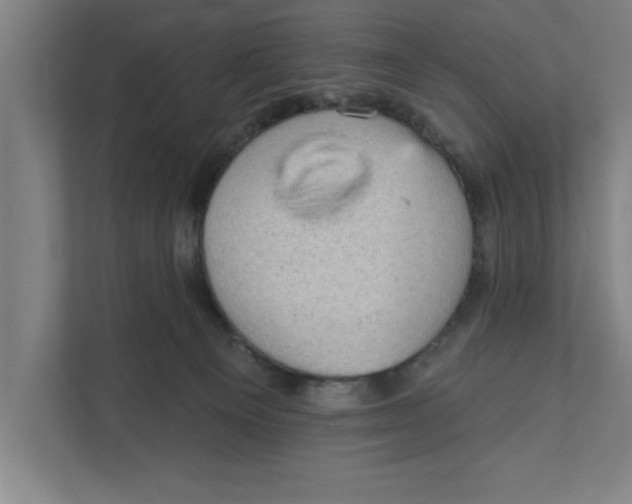 X0000111940129200908171305