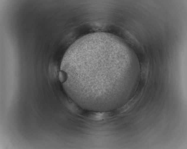 X0000111940130200908171305