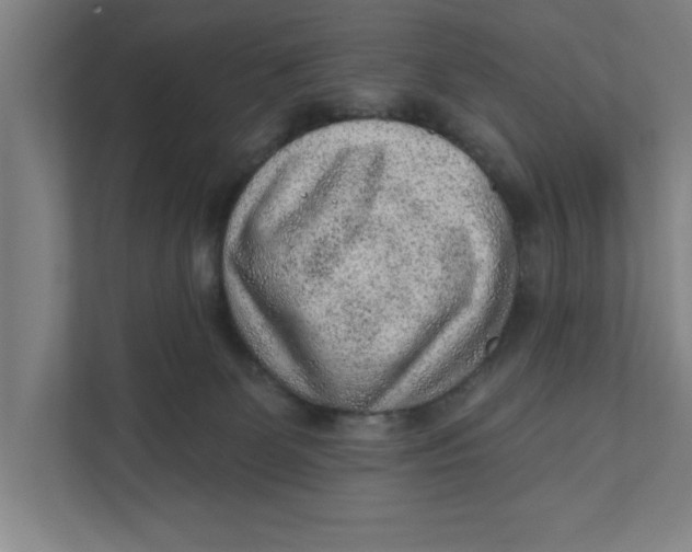 X0000111940131200908171305