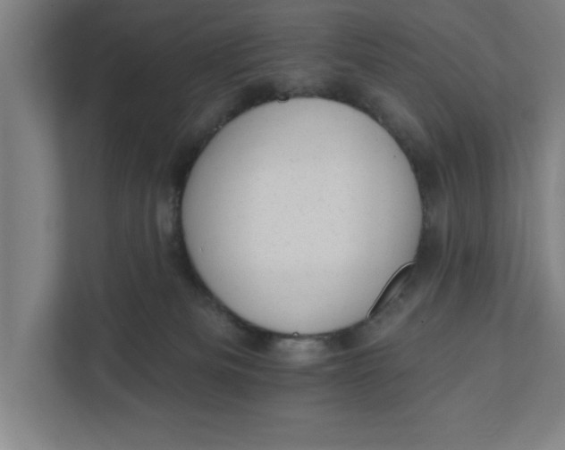 X0000111940133200908171305