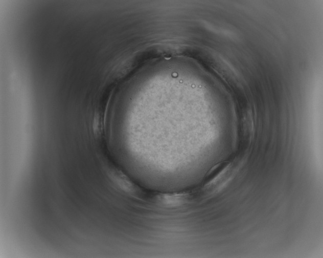 X0000111940134200908171305