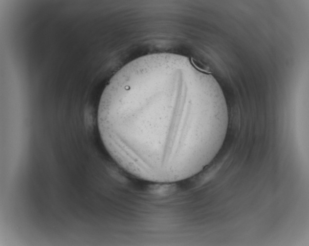 X0000111940135200908171305