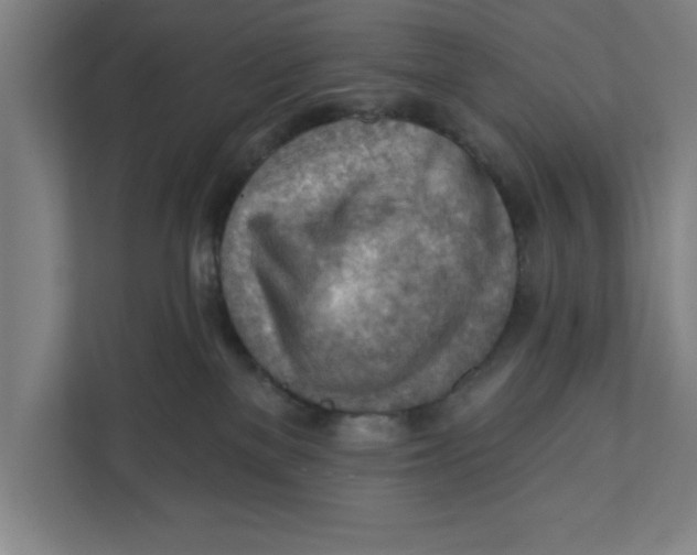 X0000111940137200908171305