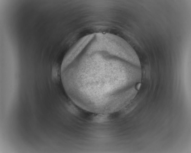 X0000111940138200908171305