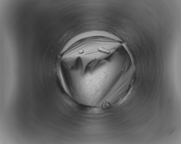 X0000111940140200908171305