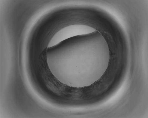 X0000111940143200908171305