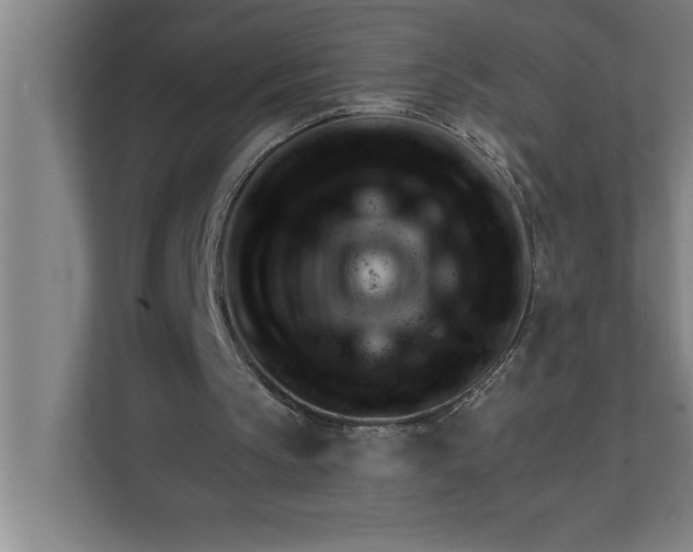 X0000111940145200908171304