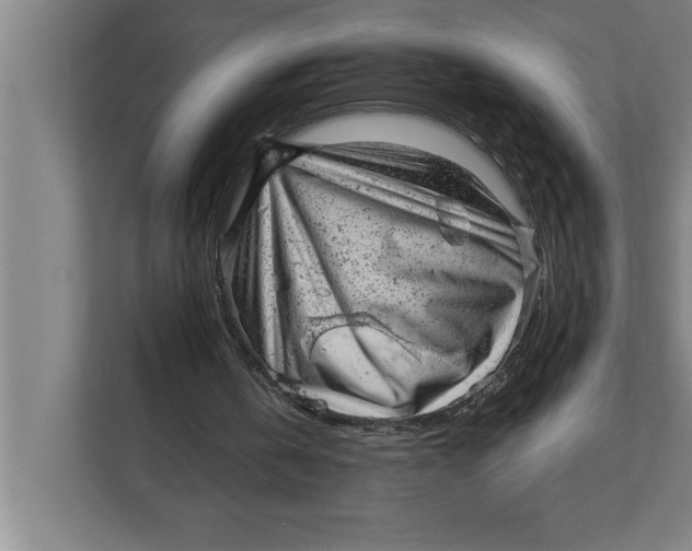 X0000111940146200908171304