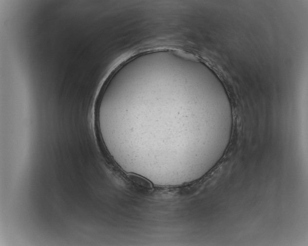 X0000111940148200908171304